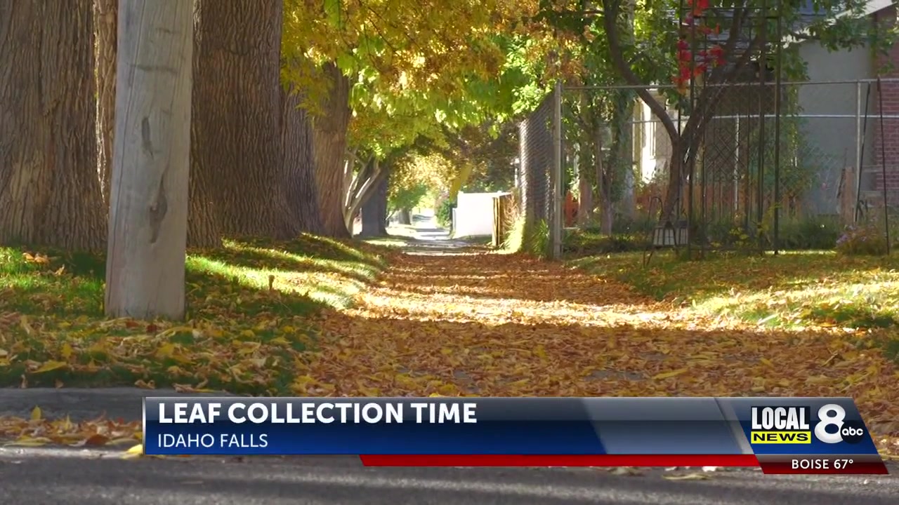 Pocatello Curbside Leaf Collection